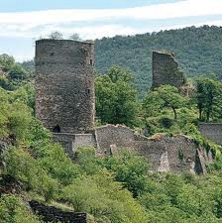 Steeger Tal Hotel Bacharach Zewnętrze zdjęcie